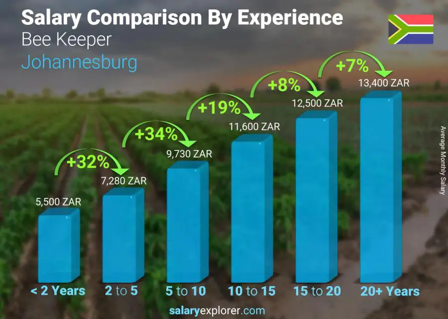 Salary comparison by years of experience monthly Johannesburg Bee Keeper