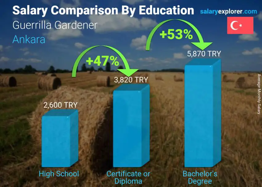 Salary comparison by education level monthly Ankara Guerrilla Gardener