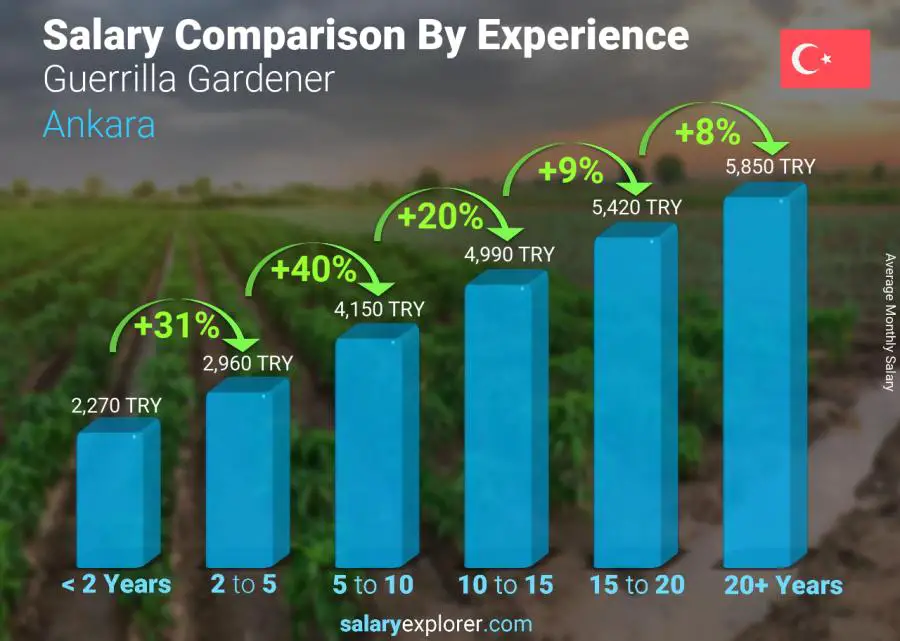 Salary comparison by years of experience monthly Ankara Guerrilla Gardener