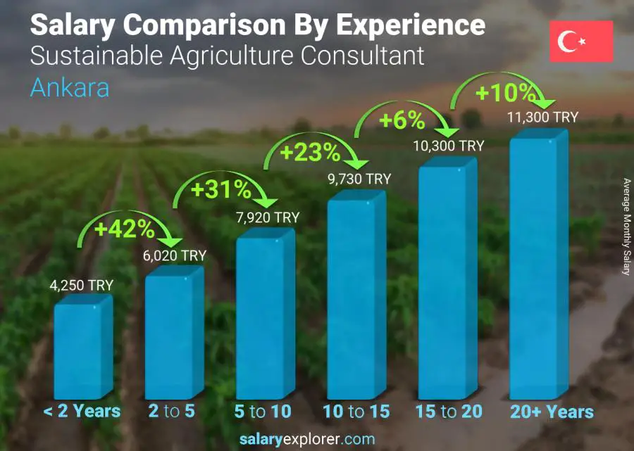 Salary comparison by years of experience monthly Ankara Sustainable Agriculture Consultant