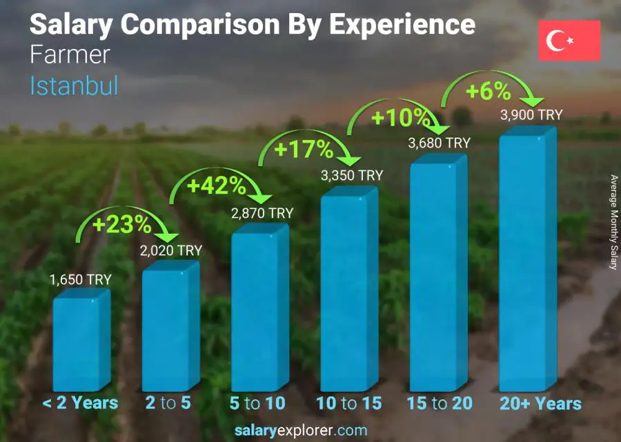 Salary comparison by years of experience monthly Istanbul Farmer